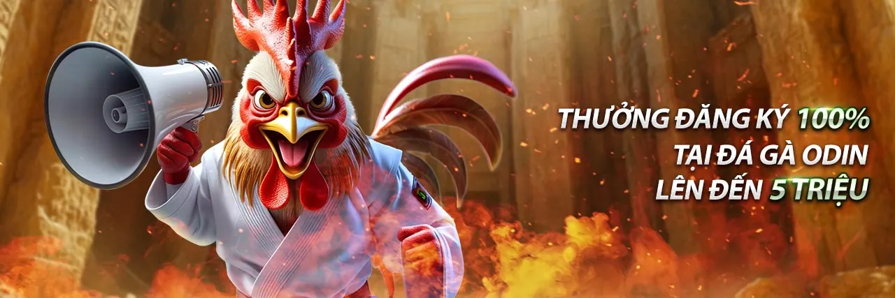 Màn hình hiển thị cá cược bóng đá trực tiếp với tỷ lệ cược thay đổi theo thời gian thực tại kuwin.com