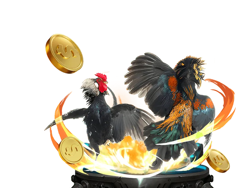 Các tính năng an toàn và hỗ trợ của nền tảng Kuwin