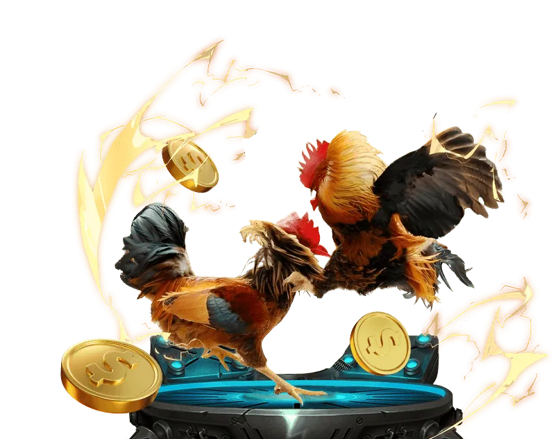 Cá cược quần vợt kuwin.com